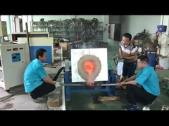 เครื่องหลอมเหนี่ยวนำอุตสาหกรรมสำหรับทองคำขาวแพลเลเดียม